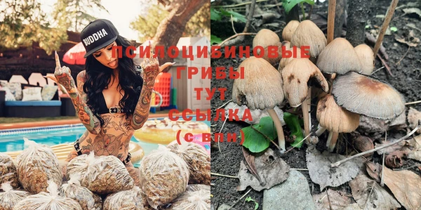 мескалин Осташков
