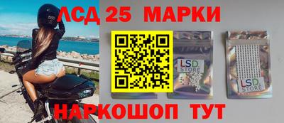 PSILOCYBIN Обнинск