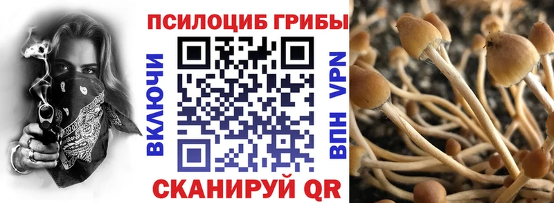 Псилоцибиновые грибы Cubensis Холмск