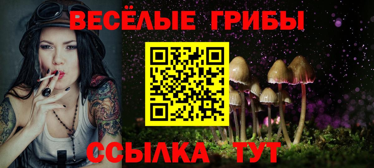 Псилоцибиновые грибы Cubensis  Вход с VPN  Холмск 