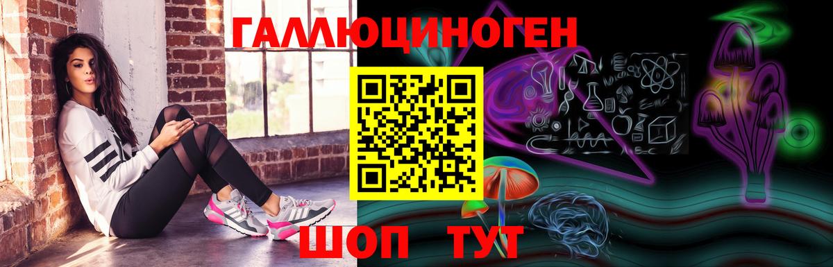 Галлюциногенные грибы Psilocybine cubensis Холмск